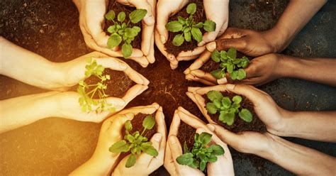 Donate to Environmental Charities and Climate .